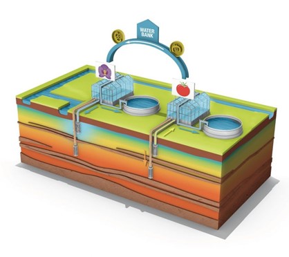 Een waterbank verbindt tuinders in het Westland. Op het COASTAR-webinar leer je meer over achtergrond en laatste stand van zaken. 